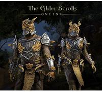 The Elder Scrolls Online - Dragon Slayer Bundle #1 DLC XBOX One / Series X|S CD Key