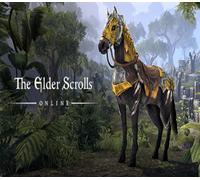 The Elder Scrolls Online - Dragon Slayer Mount DLC Xbox Series X|S CD Key