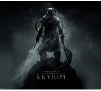 The Elder Scrolls V: Skyrim Nintendo Switch Access