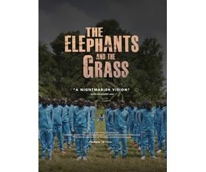 The Elephants and the Grass