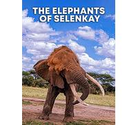 The Elephants of Selenkay