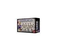 The Elfheim Eagles Blood Bowl Team - Tabletop Miniatures Wargame