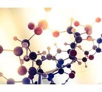 The Eloquent Chemistry of Carbon Compounds