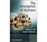 The Emergence of Humans: An Exploration of the Evolutionary Timeline