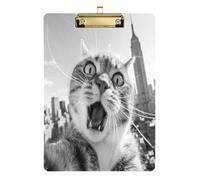 The Empire State Building Cat Selfie flip clipboard Plastic for Classroom Supplies for Teachers high School Tabla para escribir Size 9 x 12