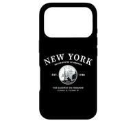 The Empire State New York Heart NY Gateway to Freedom Art Case for iPhone 17 Pro