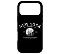 The Empire State New York Heart NY Gateway to Freedom Art Case for iPhone 17 Pro Max
