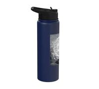 The Empyrean by Gustave Dore Stainless Steel Insulated Water Bottle