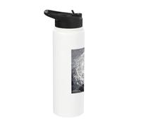The Empyrean by Gustave Dore Stainless Steel Insulated Water Bottle