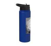 The Empyrean by Gustave Dore Stainless Steel Insulated Water Bottle