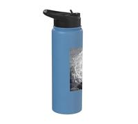 The Empyrean by Gustave Dore Stainless Steel Insulated Water Bottle