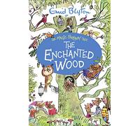 The Enchanted Wood: 1 (The Magic Faraway Tree)