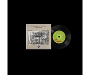 The Endless Coloured Ways: The Songs of Nick Drake by David Gray/Stick In the Wheel 7" Vinyl Single