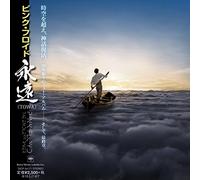 The Endless River