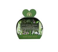 The English Soap Company Packed Guest Soaps, Moisturising Shea Butter Soaps for Face and Body, Lily of the Valley Scent 3 x 20g