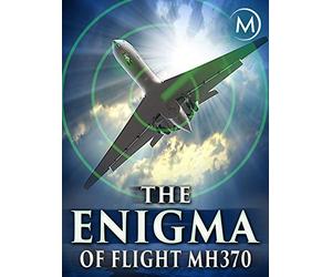 The Enigma of Flight MH370