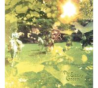 The Essex Green - Everything Is Green (Remastered + Bonus Disc)