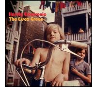 The Essex Green - Hardly Electronic [VINYL]