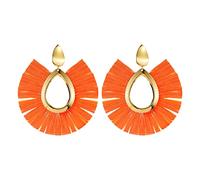 The European Style Fashion Is Suitable For Women's Party Jewelry Earrings Stainless Steel for Women (Orange, One Size)