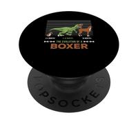 The Evolution of a Boxer or Evolution of dogs PopSockets Adhesive PopGrip