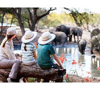 The Evolution of the Modern Safari