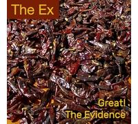 The Ex - Great! / The Evidence [7" VINYL]