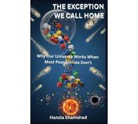 The Exception We Call Home: Why Our Universe Works When Most Possibilities Don’t