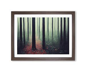 The Explosive Forest Framed Print | A3 Walnut Framed Wall Art | Ready to Hang | Modern Landscape Picture | Living Room Bedroom Lounge Office