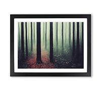 The Explosive Forest H1022 Framed Print for Living Room Bedroom Home Office Décor, Wall Art Picture Ready to Hang, Black A2 Frame (64 x 46 cm)