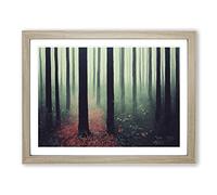 The Explosive Forest H1022 Framed Print for Living Room Bedroom Home Office Décor, Wall Art Picture Ready to Hang, Oak A2 Frame (64 x 46 cm)