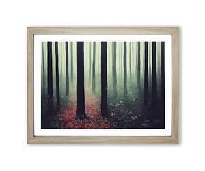 The Explosive Forest H1022 Framed Print for Living Room Bedroom Home Office Décor, Wall Art Picture Ready to Hang, Oak A4 Frame (34 x 25 cm)