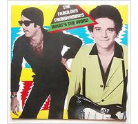 The Fabulous Thunderbirds - What's the word [VINYL]