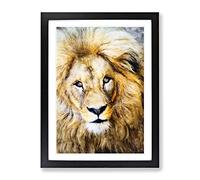 The Face Of A Lion Painting Modern Framed Wall Art Print, Ready to Hang Picture for Living Room Bedroom Home Office Décor, Black A3 (34 x 46 cm)