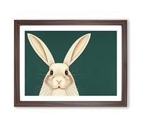 The Face Of A Rabbit BLK Framed Print | A4 Walnut Framed Wall Art | Ready to Hang | Modern Animal Picture | Living Room Bedroom Lounge Office