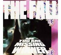 The Fall - Are You Are Missing Winner