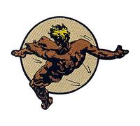 The Fall of Phaeton Patch Embroidered Applique Badge Iron On Sew On Emblem