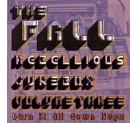 The Fall - Rebellious Jukebox Volume 3
