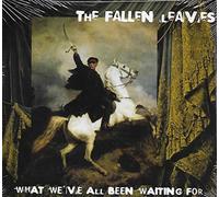 The Fallen Leaves - What We've All Been Waiting For