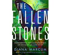 The Fallen Stones : Chasing Butterflies, Discovering Mayan Secrets, and Looking for Hope Along the Way