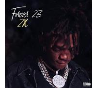 The Family Stand - Forever 23 2x [VINYL]