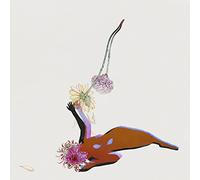 The Far Field [帯解説・歌詞対訳 / ボーナストラック1曲収録 / 国内盤] (4AD0001CDJ)