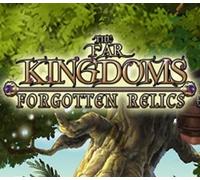 The Far Kingdoms: Forgotten Relics Steam CD Key