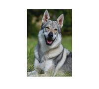 The Fascination of Wolfhounds,1000 Piece Paper Puzzle for An Unforgettable Family Activity - Suitable for All Ages(50x70cm)-AP26