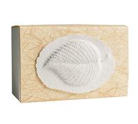 The Favorite Place® Burial Biodegradable Urn Box, (Large Leaf Urn Box), Biodegradable for Ground Burial, Scattering Cremated Ashes in Earth Friendly Eco Urn, (Natural Golden Grass with Leaf)