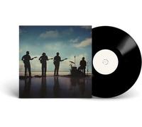 The Fearless Flyers - The Fearless Flyers V [VINYL]