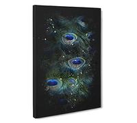 The Feathers of a Peacock Paint Splash Canvas Print | Gallery Wrapped 30mm Frame Wall Art | 30x20 inches | Ready to Hang | Modern Picture | Living Room Bedroom Lounge Office