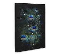 The Feathers Of A Peacock Paint Splash Canvas Print | Gallery Wrapped 30mm Frame Wall Art | 30x20 inches | Ready to Hang | Modern Picture | Living Room Bedroom Lounge Office