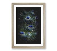 The Feathers of a Peacock Paint Splash Framed Print | A2 Oak Framed Wall Art | Ready to Hang | Modern Animal Picture | Living Room Bedroom Lounge Office
