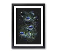 The Feathers Of A Peacock Paint Splash Modern Framed Wall Art Print, Ready to Hang Picture for Living Room Bedroom Home Office Décor, Black A3 (34 x 46 cm)