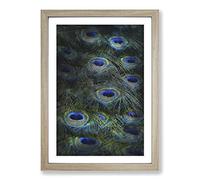 The Feathers of a Peacock Painting Framed Print | A2 Oak Framed Wall Art | Ready to Hang | Modern Animal Picture | Living Room Bedroom Lounge Office